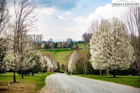 46 Bear Crossing Rd, Sparta, NC 28675 photo 5