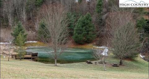 46 Bear Crossing Rd, Sparta, NC 28675 photo 2