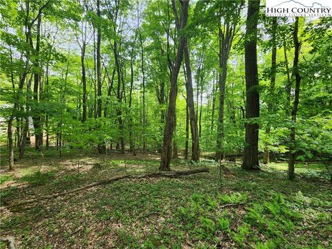 TBD Trillium Way, Banner Elk, NC 28604