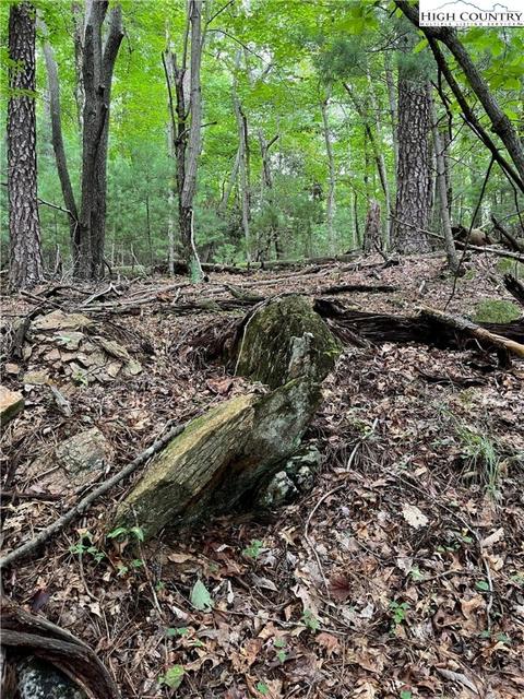 000 Lyons Rd, Roaring Gap, NC 28668 photo 18