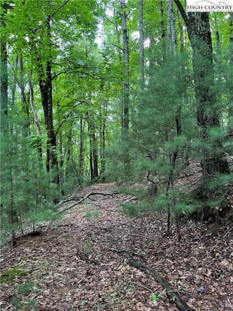 000 Lyons Rd, Roaring Gap, NC 28668 photo 9