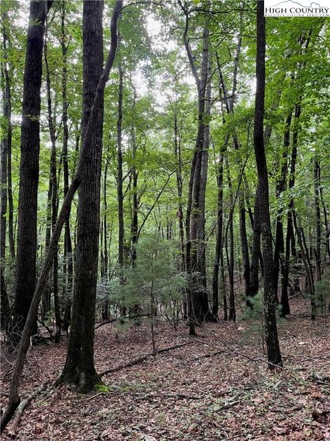 000 Lyons Rd, Roaring Gap, NC 28668 photo 17