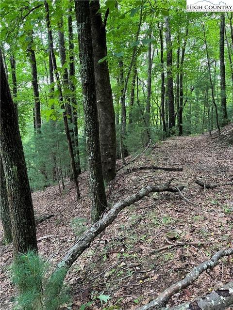 000 Lyons Rd, Roaring Gap, NC 28668 photo 10