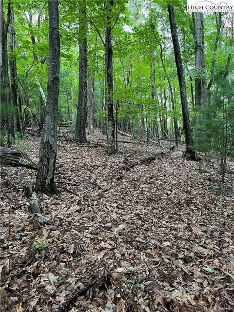 000 Lyons Rd, Roaring Gap, NC 28668 photo 16