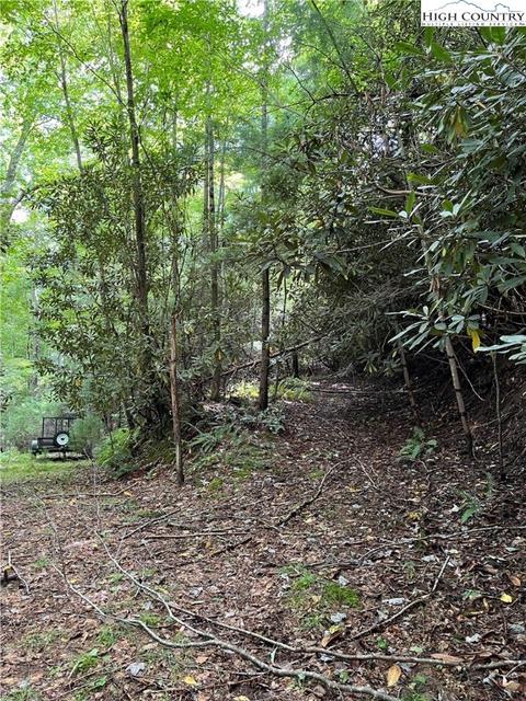 000 Lyons Rd, Roaring Gap, NC 28668 photo 3