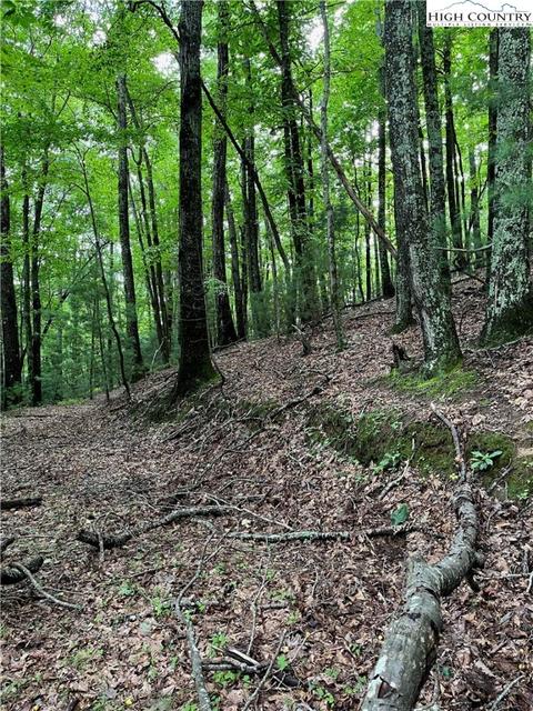 000 Lyons Rd, Roaring Gap, NC 28668 photo 11