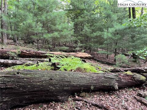 000 Lyons Rd, Roaring Gap, NC 28668 photo 20