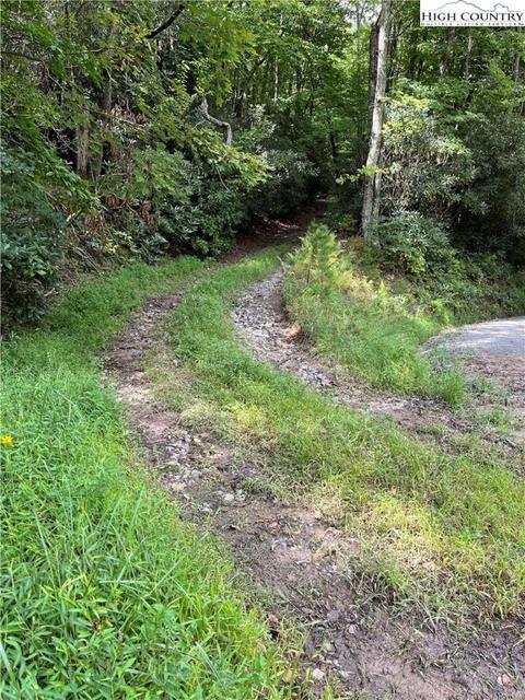 000 Lyons Rd, Roaring Gap, NC 28668 photo 23