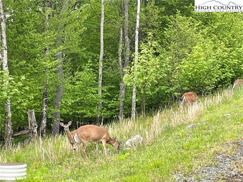 8 Fox Crest Road, Beech Mountain, NC 28604 photo 10