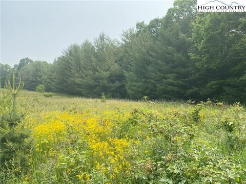 9 Toms Knob Road, Sparta, NC 28675