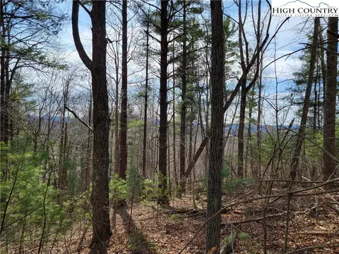 tbd Wilcox Dr, Crumpler, NC 28617 photo 3