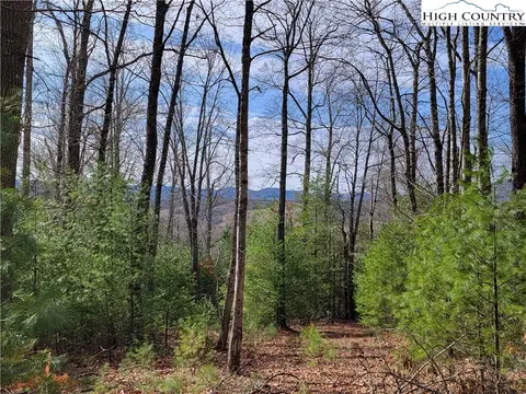 tbd Wilcox Dr, Crumpler, NC 28617 photo 6