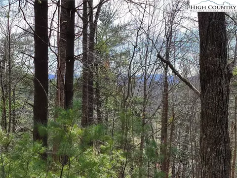 tbd Wilcox Dr, Crumpler, NC 28617 photo 4