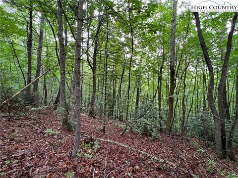 lot61 Deer Run, Purlear, NC 28665 photo 9