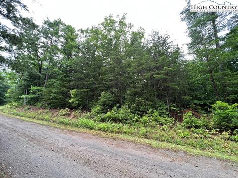 lot61 Deer Run, Purlear, NC 28665 photo 4
