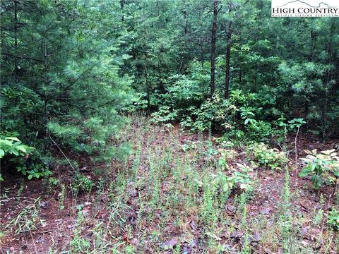 lot61 Deer Run, Purlear, NC 28665 photo 8