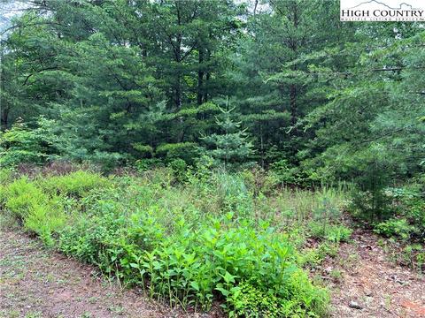 lot61 Deer Run, Purlear, NC 28665 photo 5