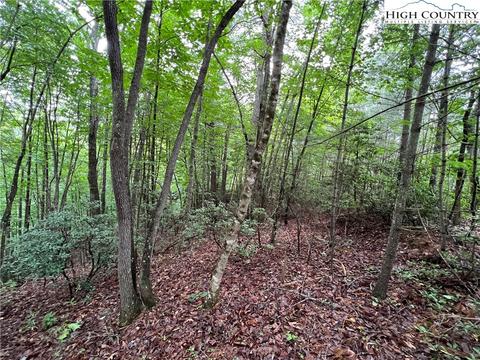 lot61 Deer Run, Purlear, NC 28665 photo 11