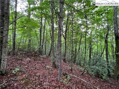 lot61 Deer Run, Purlear, NC 28665 photo 10