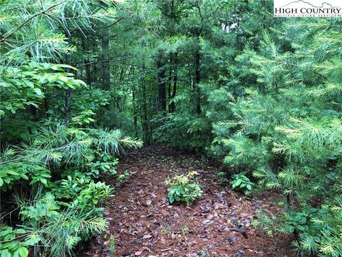 lot61 Deer Run, Purlear, NC 28665 photo 7