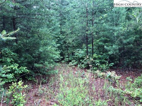 lot61 Deer Run, Purlear, NC 28665 photo 6