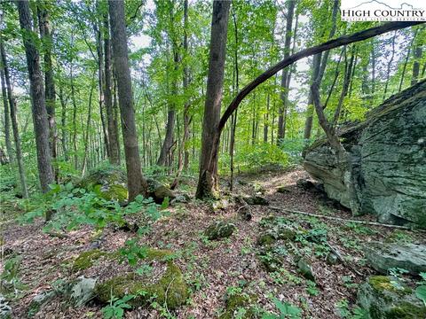 TBD Boulder Gardens Road, Banner Elk, NC 28604