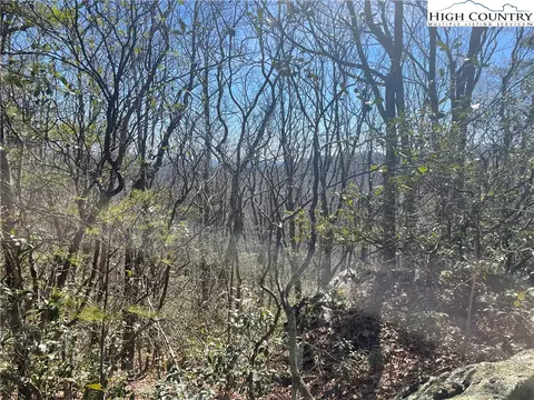 TBD Off Little Laurel Road, Boone, NC 28607