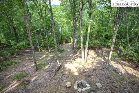 133 Rhododendron Dr, Beech Mountain, NC 28604 photo 45