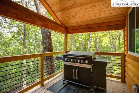 133 Rhododendron Dr, Beech Mountain, NC 28604 photo 43