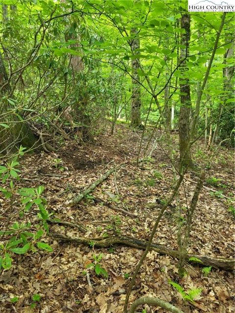 TBD Fox Den, Blowing Rock, NC 28605