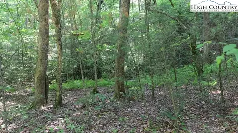 0001 Siffords Branch Rd, Purlear, NC 28665 photo 8
