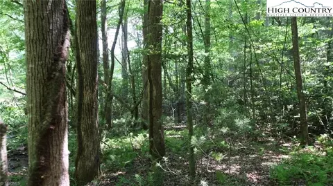 0001 Siffords Branch Rd, Purlear, NC 28665 photo 6