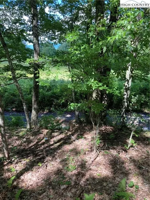 TBD Old Mountain Road, Banner Elk, NC 28604