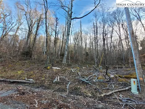 133 Wild Daisy Ln, Beech Mountain, NC 28604 photo 3