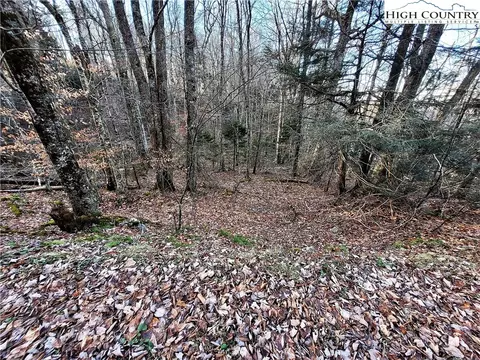 133 Wild Daisy Ln, Beech Mountain, NC 28604 photo 10