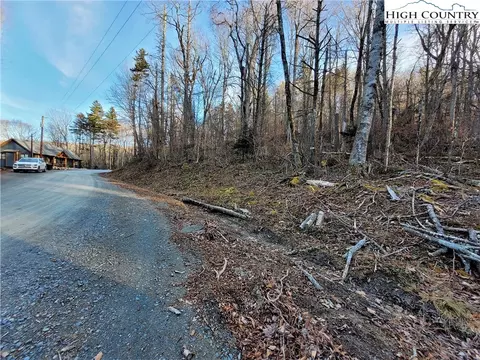 133 Wild Daisy Ln, Beech Mountain, NC 28604 photo 4