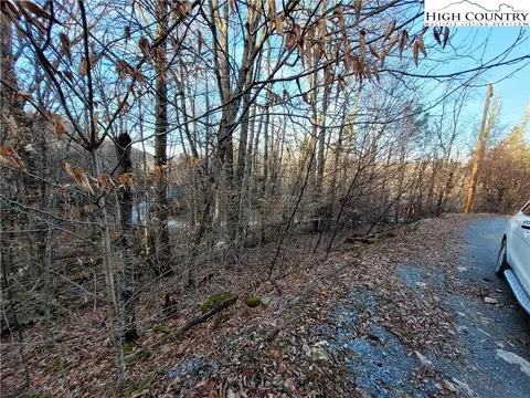 133 Wild Daisy Ln, Beech Mountain, NC 28604 photo 7
