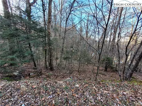 133 Wild Daisy Ln, Beech Mountain, NC 28604 photo 8