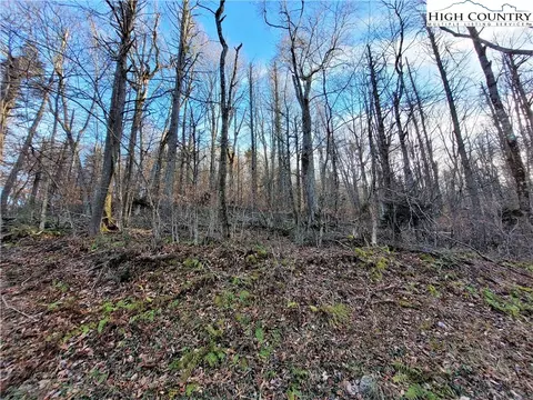 133 Wild Daisy Ln, Beech Mountain, NC 28604 photo 6