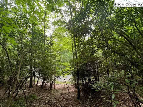 268 Poplar Dr, Beech Mountain, NC 28604 photo 3