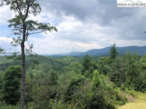 4879 Staghorn Rd, Purlear, NC 28665 photo 38