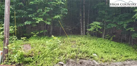 312 Locust Ridge Rd, Beech Mountain, NC 28604