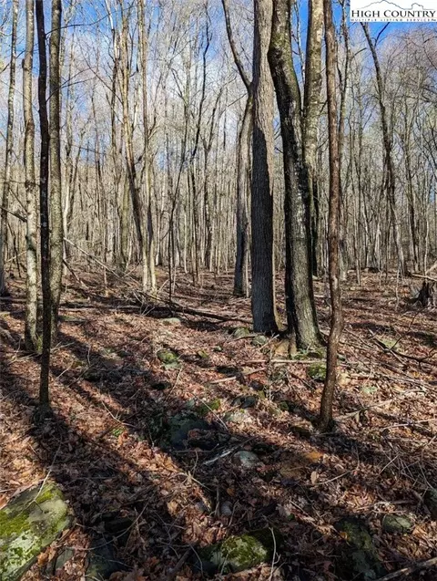 tbd Laurel Creek Rd Ext, Todd, NC 28684 photo 9