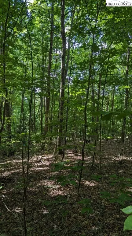 tbd Laurel Creek Rd Ext, Todd, NC 28684 photo 11
