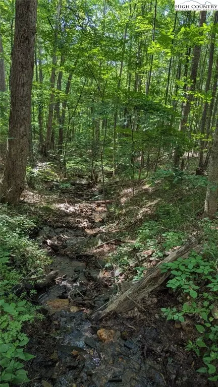 tbd Laurel Creek Rd Ext, Todd, NC 28684 photo 14