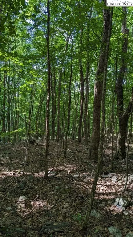 tbd Laurel Creek Rd Ext, Todd, NC 28684 photo 10