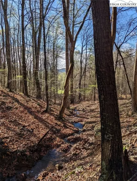 TBD Laurel Creek Rd Extn, Todd, NC 28684