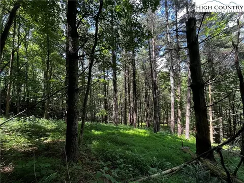 TBD Milton Moretz Road, Boone, NC 28607