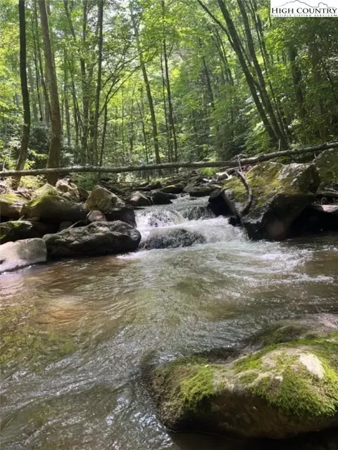 000 Big Plumtree Creek Rd, Plumtree, NC 28664