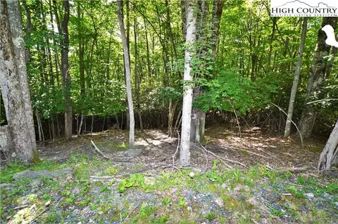 101 Spicewood Ln, Beech Mountain, NC 28604 photo 12